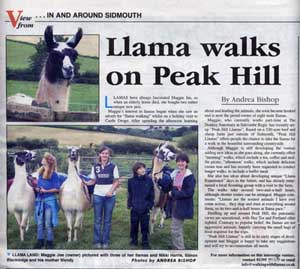 Sidmouth View Article